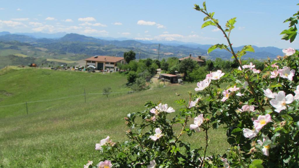 Villa La Palazzina Di Ciagnano à Ozzano dell'Emilia Extérieur photo